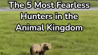 The 5 Most Fearless Hunters in the Animal Kingdom