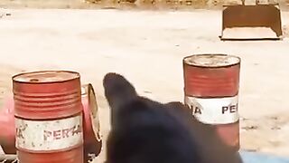 jail banget temannya