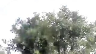 China’s Laser Tree Cutting Technology: The Future of Forestry!