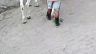 PSA: Never surprise a horse. ???? #FailArmy..#horse #CCTV #fail #funny #funnyfail
