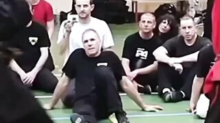 Maestro systema