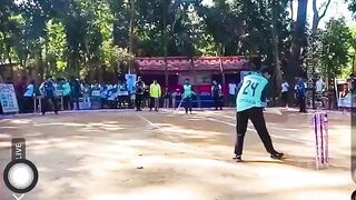 shortpitch cricket batting