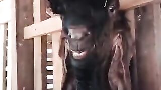 Goat gokiel
