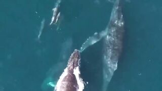 Poucas paisagens no oceano se comparam a esta