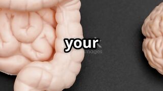 Unlock Your Brain's Potential The Gut-Brain Connection
