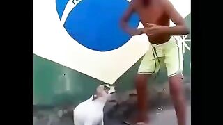 funny dancing meme?????
