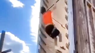 Comedy videos | funny videos
