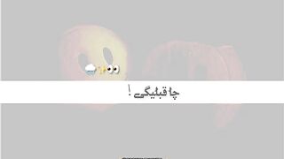 عاجزہ بس روجی پکی دہغہ چا قبلیگی ????????✨