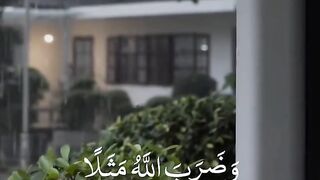 Holy Quran