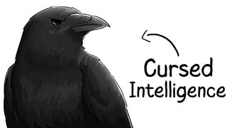 Why it Sucks To Be Born As a Crow | Animal Sucks