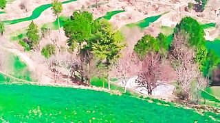 Thi Pakistan village