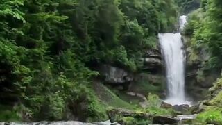Beautiful natureg