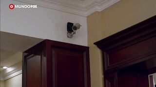 08. El Capo 3