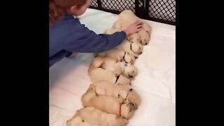 Cute_Baby_Animals_Videos_Compilation___Funny_and_Cute_Moment_of_the_Animals