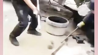 #viral#funny#viral#pressplay#$$