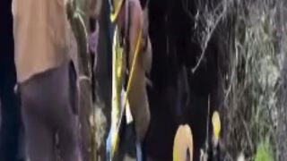**Helicopter Airlifts Horse to Safety in Dramatic Rescue**