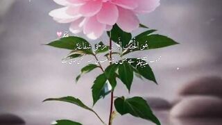 Naat Naat