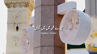 taree sher mein aawon