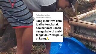 Jangan terlalu bergantung ke tengkulak untuk memasarkan ikan lele