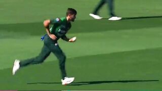 New Zealand inning's highlights
