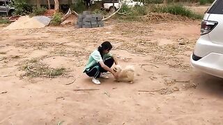 Young Animals Lover