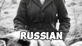 Reviving the Dead DOG A 1940s Experiment
