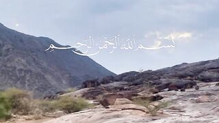 القران الكريم