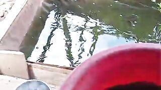Yang budidaya lele skala rumahan absen, kalian tebar berapa ribu vivit lele
