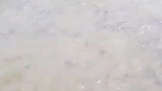 Yang pembesaran lele dikolam TANAH absen, Sekali panen dapat berapa TON