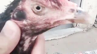 Gjjkkghj