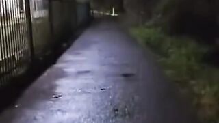 Funny video scary