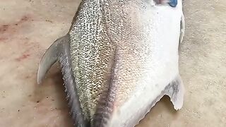 Amazing Simple Clean Travelly Fish Skill