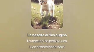 musica