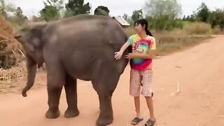 Cute Animals