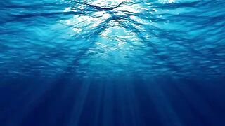 Beautiful Ocean Loop