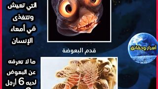 تحت المجهر عالم عجيب