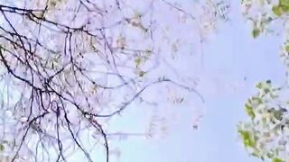 Naam_sare_bhul_Jane_lage_#bollywood_#music_#song_#shortsfeed_#indiansong_#shorts_#love(720p).mp4 Upload