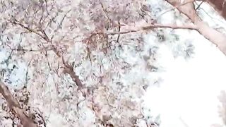 #bollywood_#song_#love_#shortsfeed_#hindisong_#shorts(720p).mp4