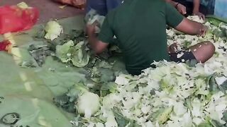 गौ माता के लिए भंडारा