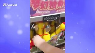 Best funny video 2025