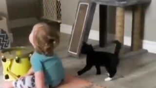 A cat invites its owner to play