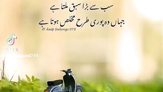 Insan ko hamsh