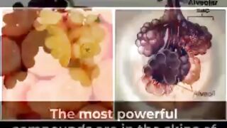 Your body is earthly and made up of the components
