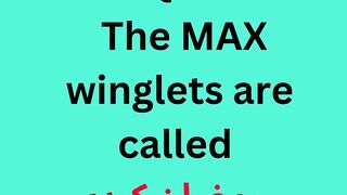 The MAX winglets are called