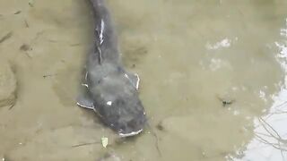 Comedy & Fishing
