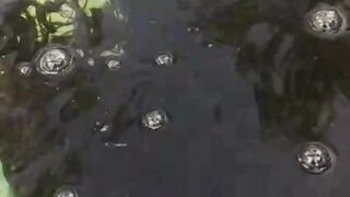 Miliki jaring 1x2x50cm sekat 3 kamar seperti ini untuk sortir ikan lele