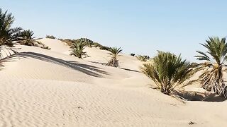 جنوب الصحراء
