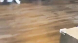 Cat vs kids