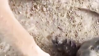 Watch it, you won't regret it