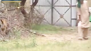 Potohari funny clip